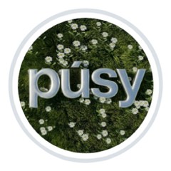 PUSY